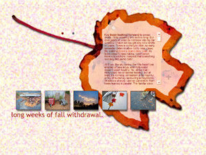 sf6.local.023 screenshot